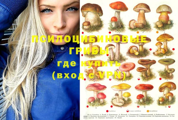 каннабис Белокуриха