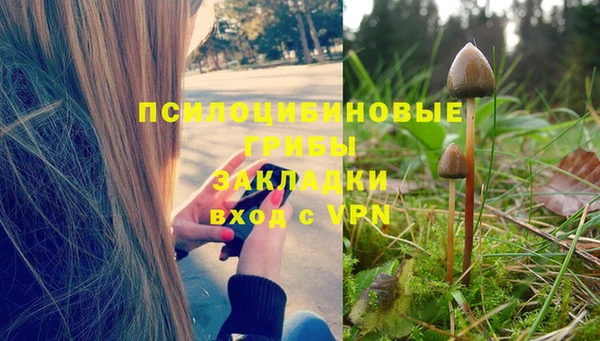 каннабис Белокуриха