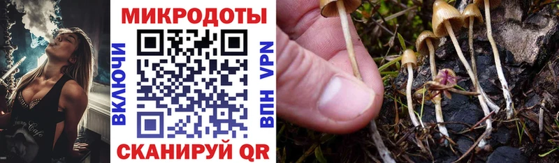 hydra ТОР Южно-Сахалинск Галлюциногенные грибы Cubensis